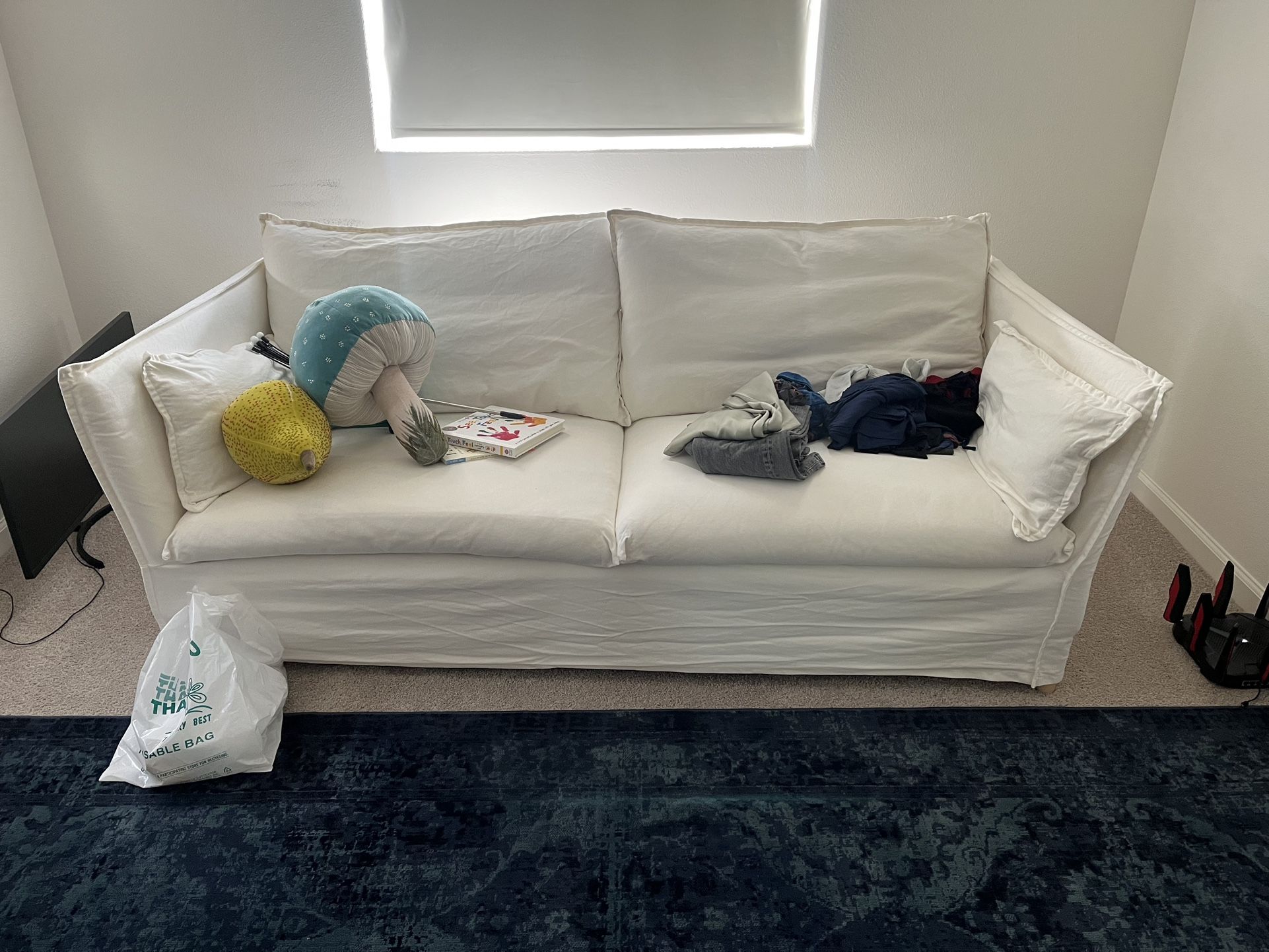 Sofa And Rug