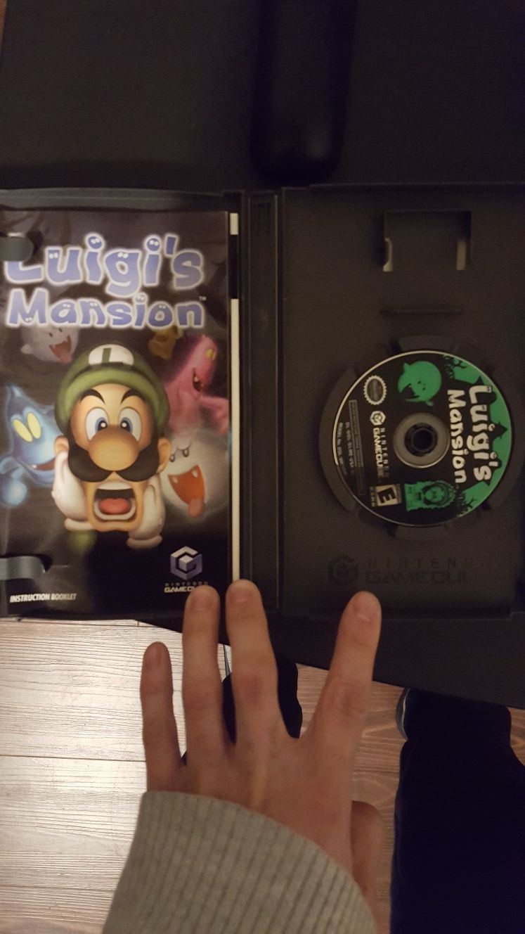 Luigis mansion