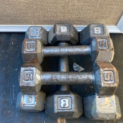 Dumbbell Set (5 lb) 