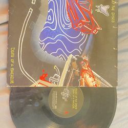 Panic At The Disco Vinyl 