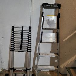 6' Gorilla Ladder And 22' Telescopic Ladder