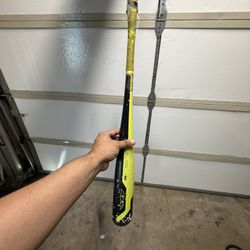 Axe Bat 29 Inch 21 Ounce