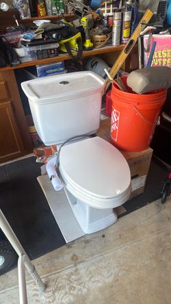 Glacier Bay Toilert with Bidet