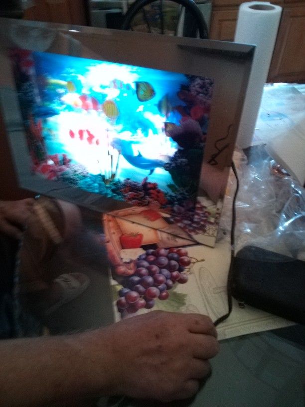 Vintage Moving Fish Lamp