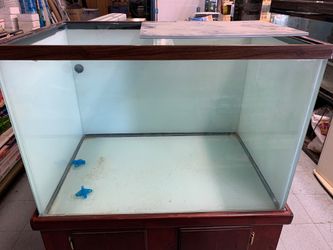 90 gallon fish cube tank , lid, stand