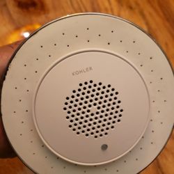 Kolher Shower With Bluetooth Speaker