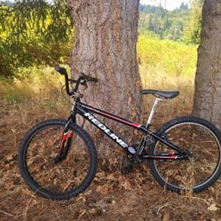 Redline MX 24 Pro Cruiser 24" BMX Race Bike-Black
