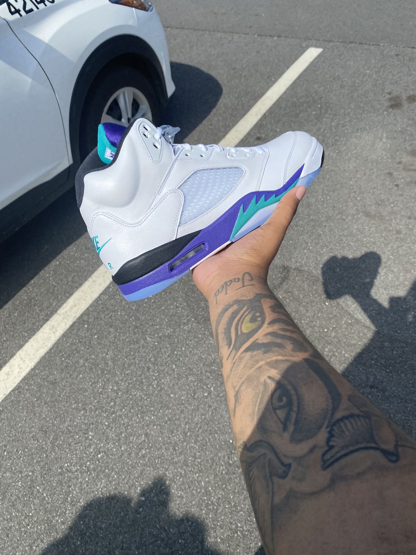 Air Jordan Grape 5s
