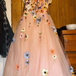 Quinceanera Dress 