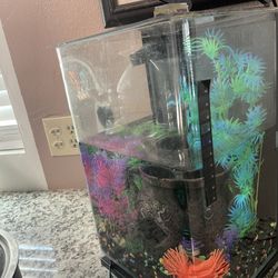 I’m Sell Fish  tank 15 Gallon 