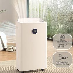 Dehumidifier (like-new) 