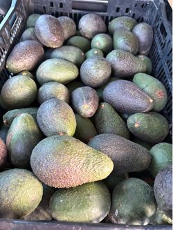 Aguacate/ cherimoya