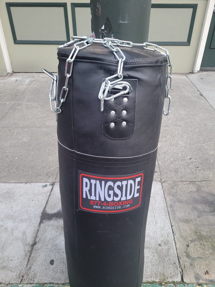 ring side punching👊 Bag