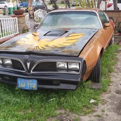 1978 Pontiac Firebird