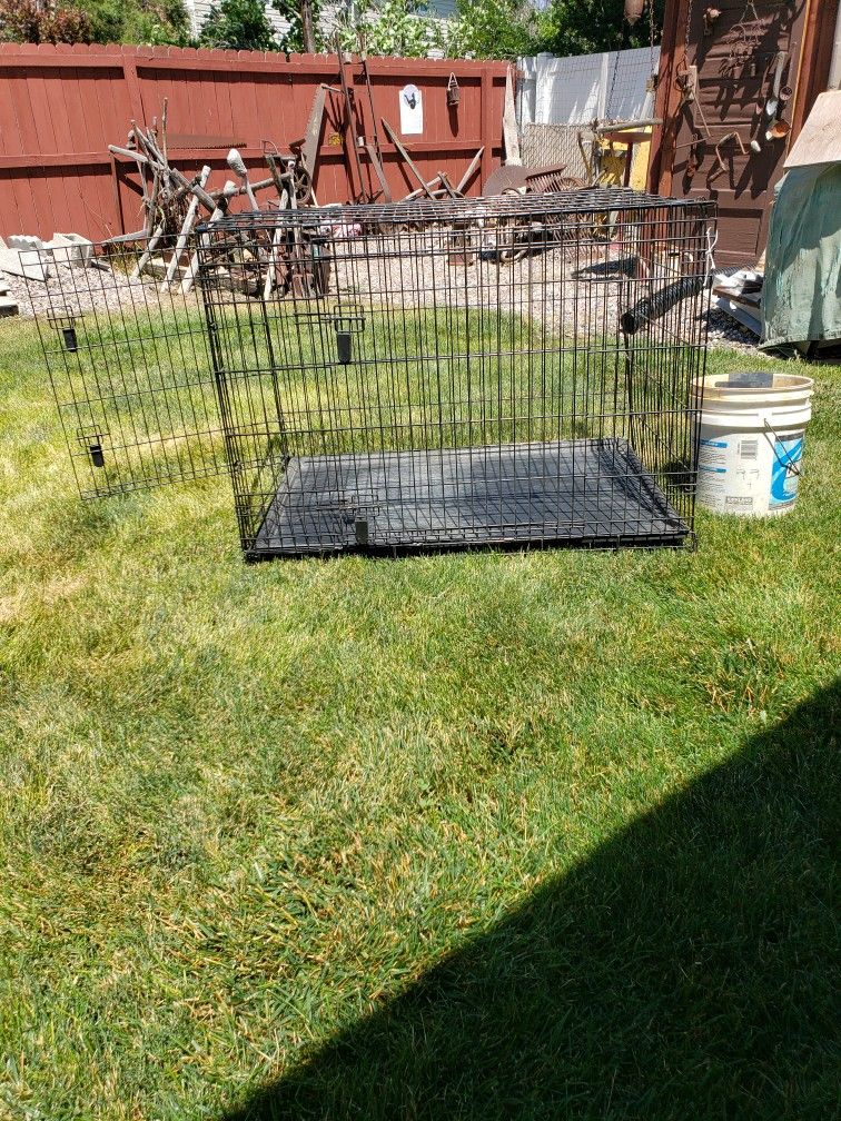 Large Dog Kennel