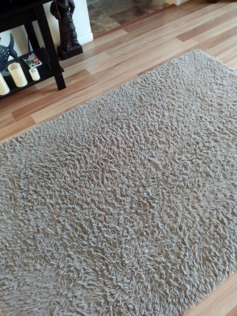 Like New 4' By 6' Area Rug Neutral 