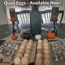 Quail And Chicken Eggs For Sale