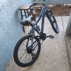 Genesis Mountain Bike
