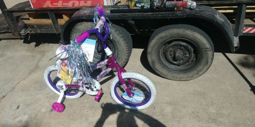 Huffy seastar