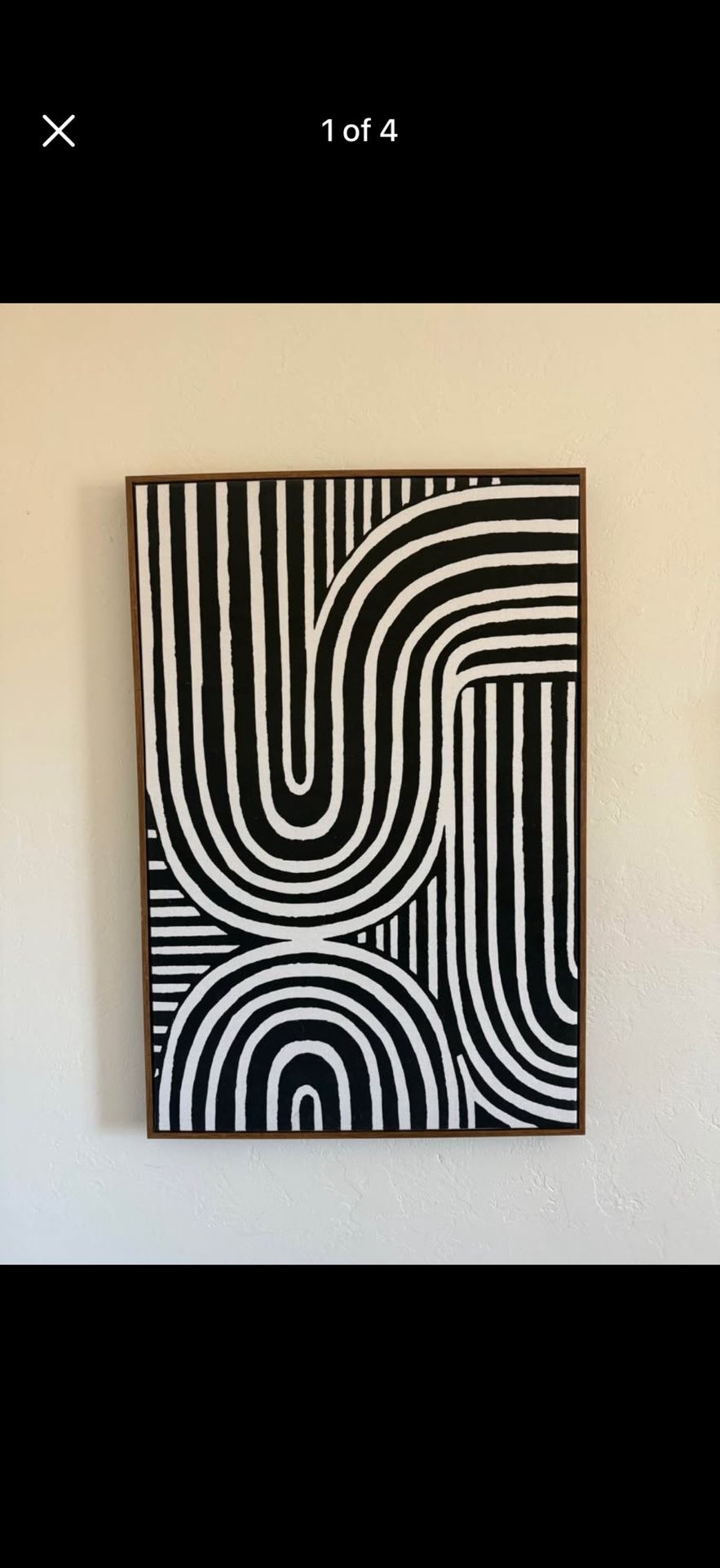 Black and White Decorative Canvas Painting 
