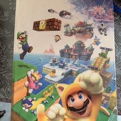 Super Mario 3D World Game Guide 