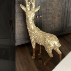 Venado 