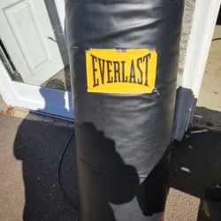 Everlast Punching Bag