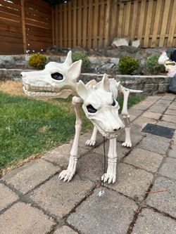 Two-Headed Cerberus Skeleton Dog – Halloween Prop / Decoration
