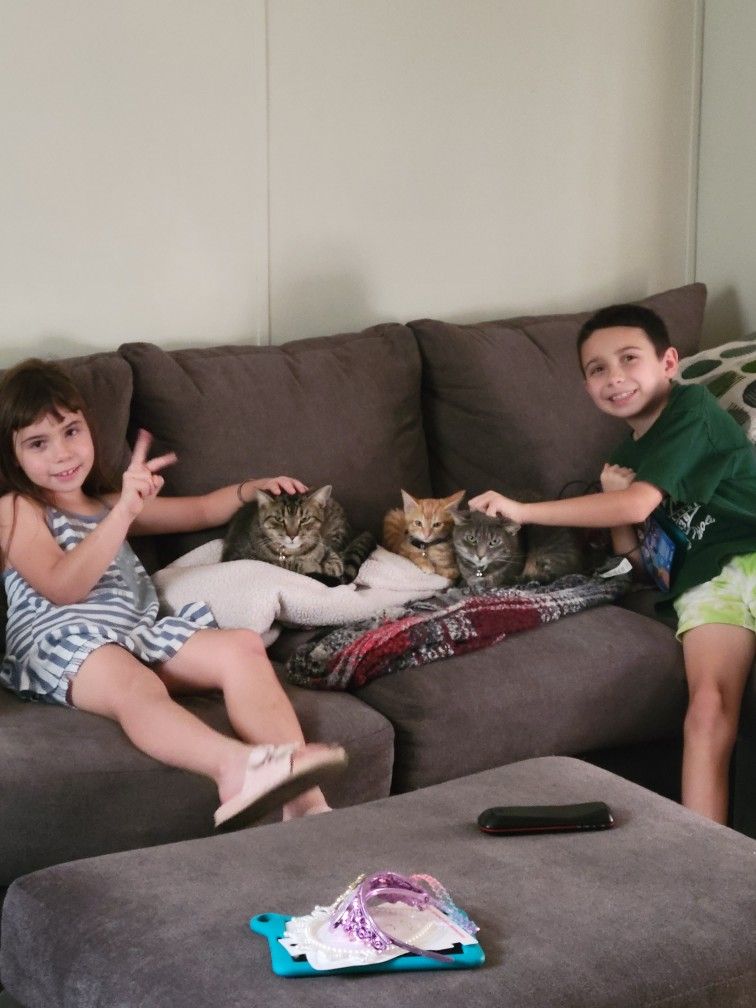 Use couch but like new