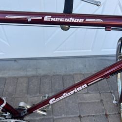 Vintage Men’s 10 Speed Bike