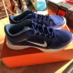 Nike Flex Trainer Blue