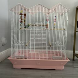 Bird cage Perfect Condition Bonus Items 