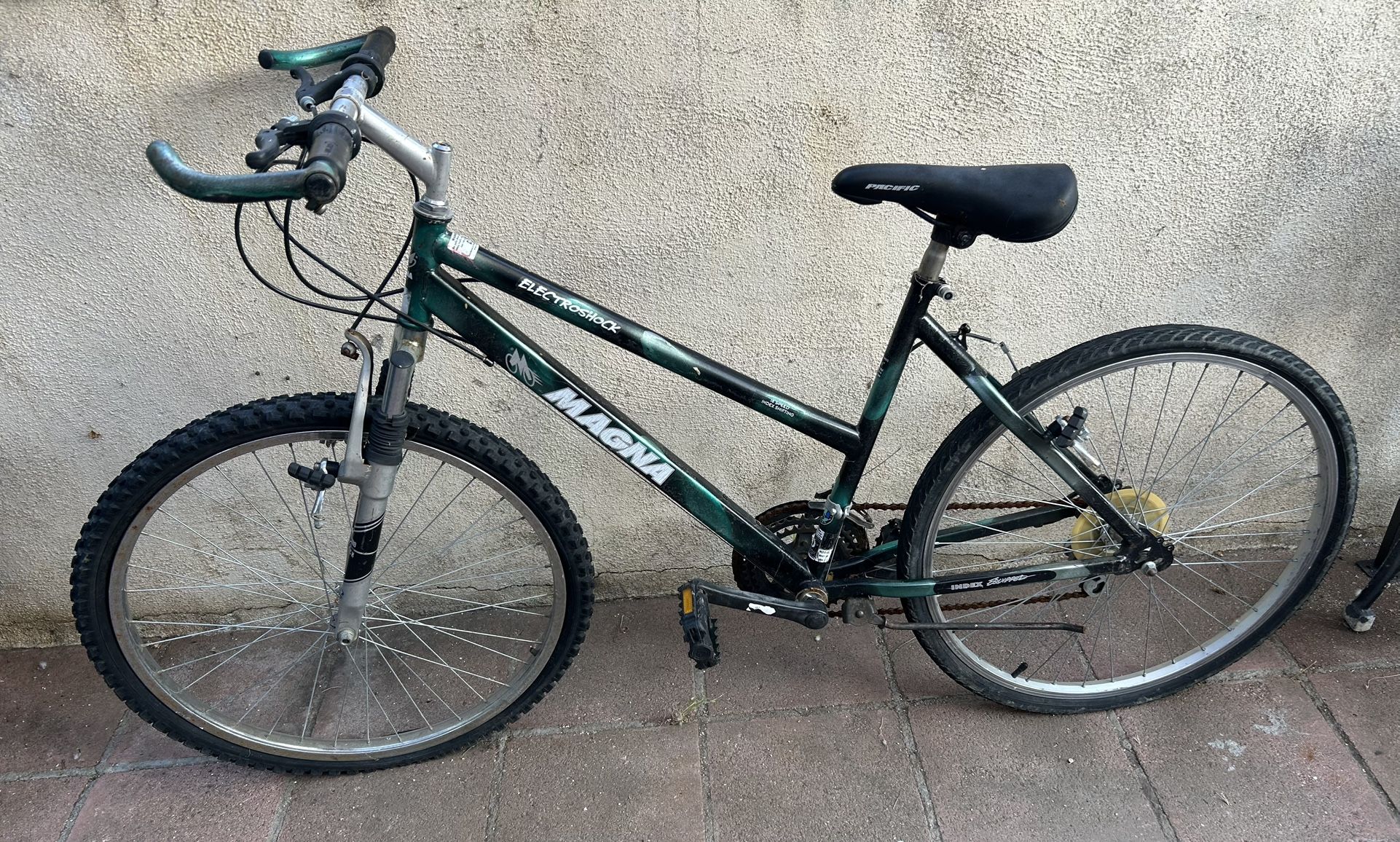 Adult Bike