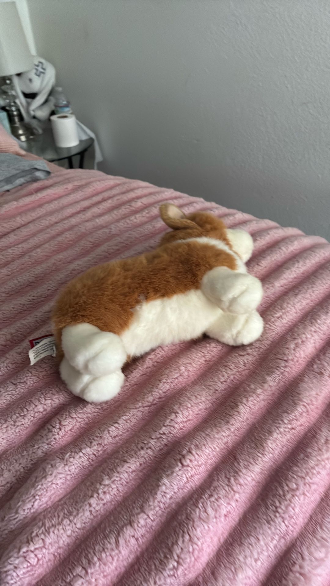 Dog Plush For Anybody 