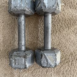 12 Pound Dumbbells 