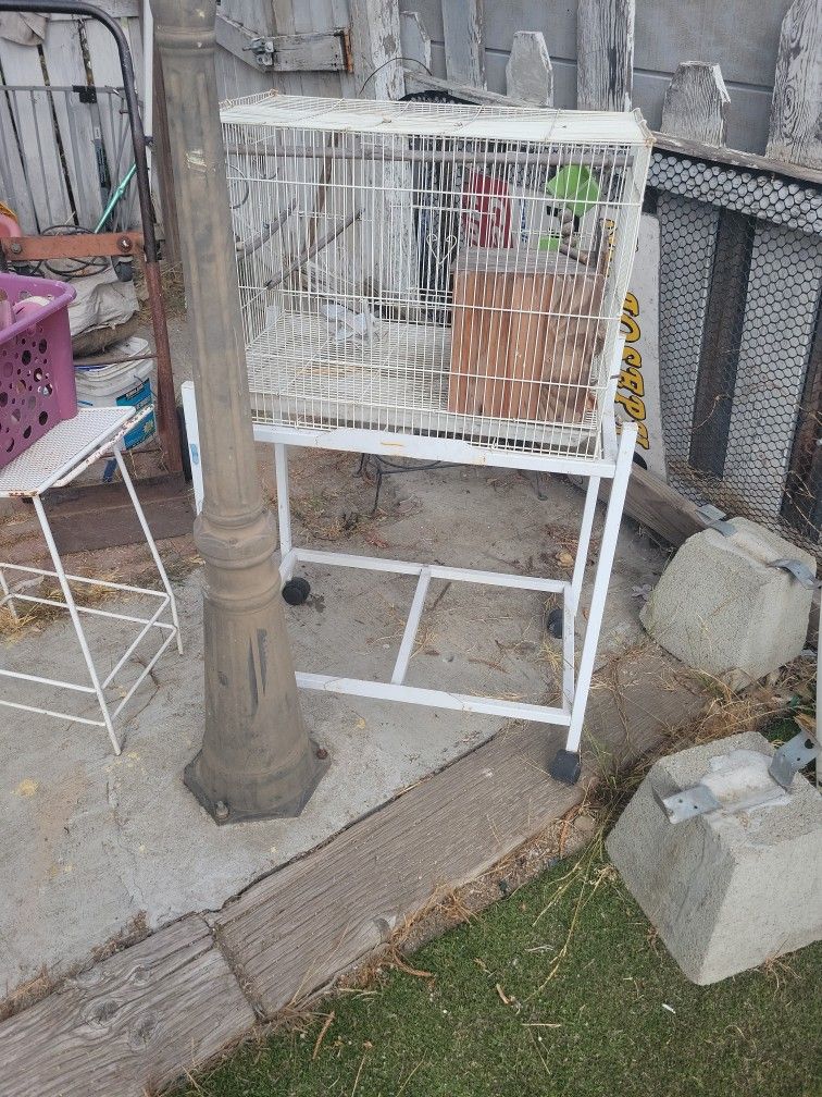 Bird Cage