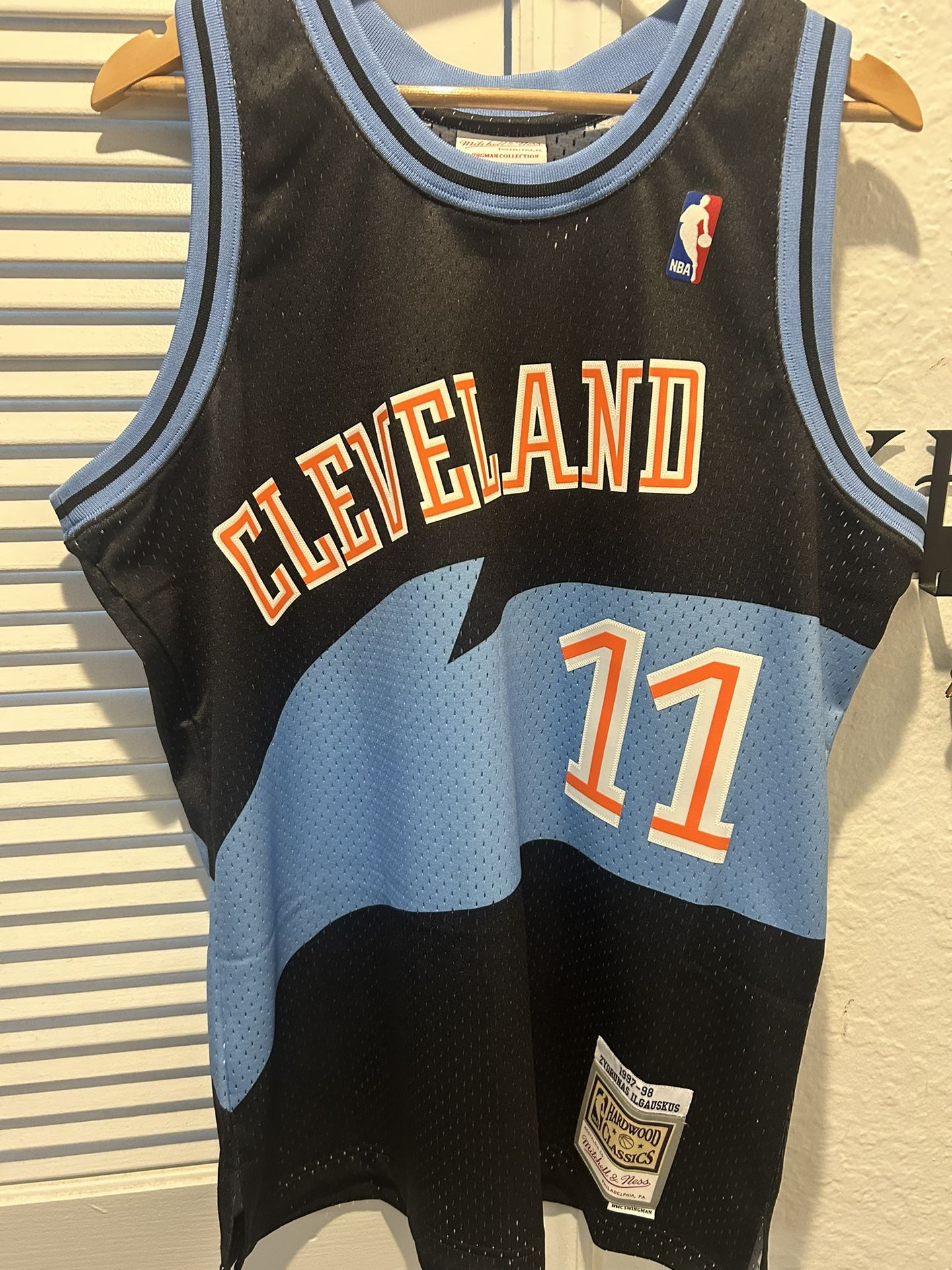 Zydrunas Ilgauskus Jersey 