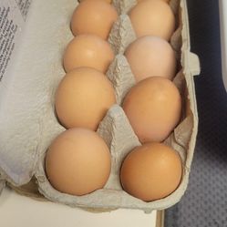 Eggs