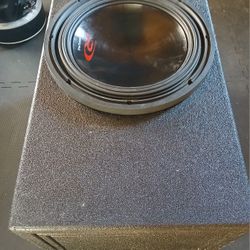 12" Subwoofer 