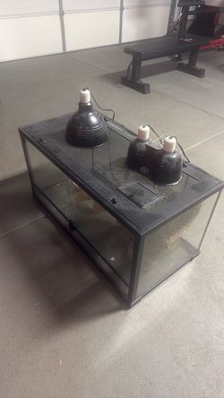 Lizard cage