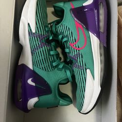 LeBron Witness VI