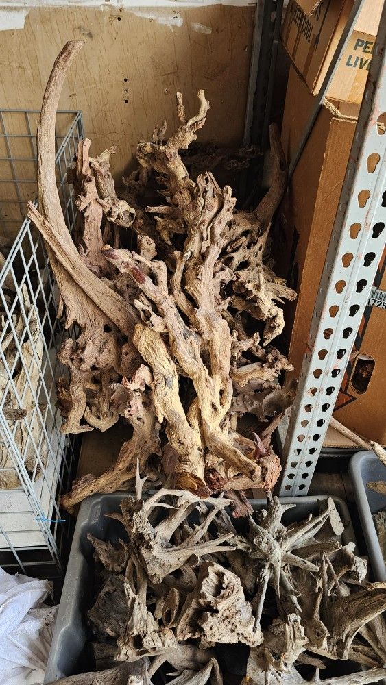 Driftwood