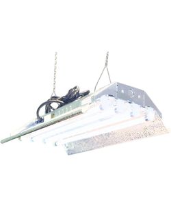 T5 Lights - 2 Ft 4 Lamps