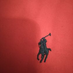 Ralph Lauren Polo Coat. $50