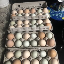 Farm Fresh Eggs
