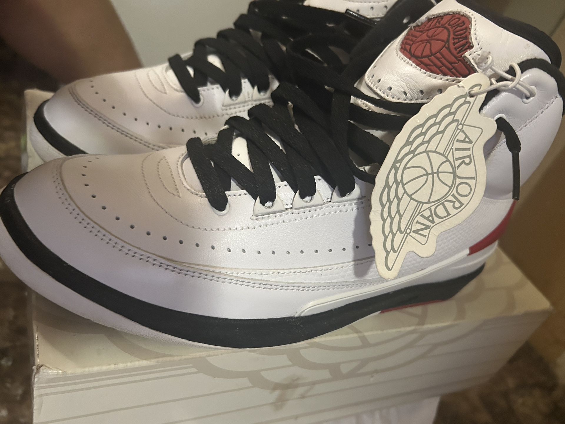 Air Jordan 2 Retro 