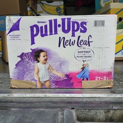 Pull-Ups New Leaf Girls' Disney Frozen Potty Training Pants, 2T-3T