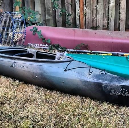Canoe And Kayak