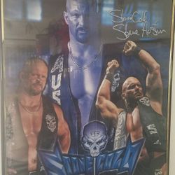 Stone Cold Steve Austin WWF 2001 16x20 Framed Photo