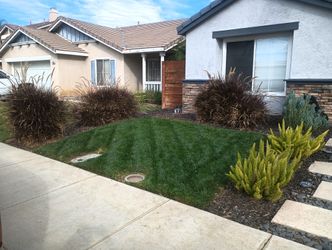 Grass Seed 